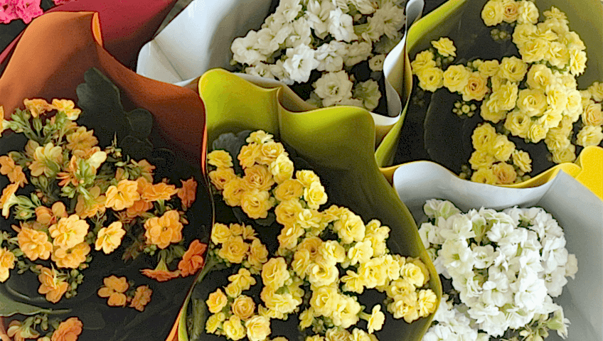 gaziantep duisburg çiçekçi