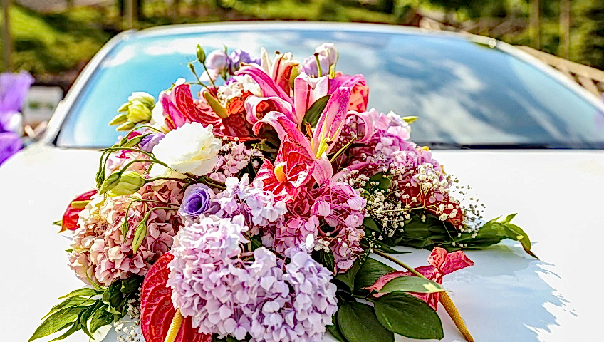 gaziantep gelin arabası süsleme