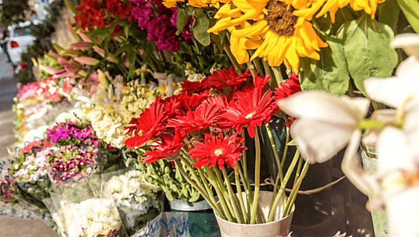 gaziantep körkün çiçekçi