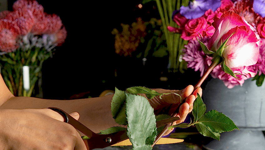 gaziantep merveşehir çiçekçi