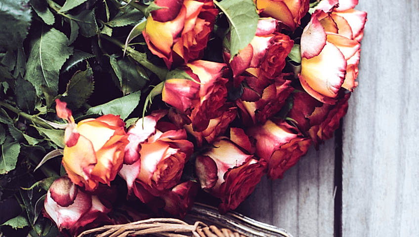 gaziantep şehitkamil çiçekçi