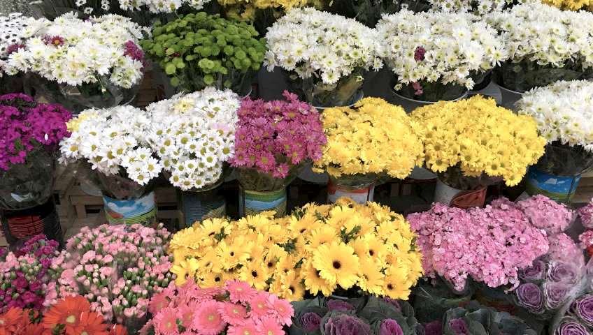 merveşehir çiçekçi