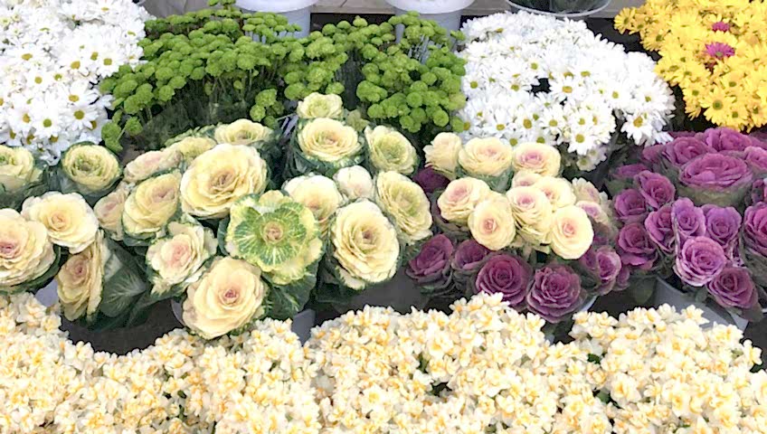 perilikaya çiçekçi