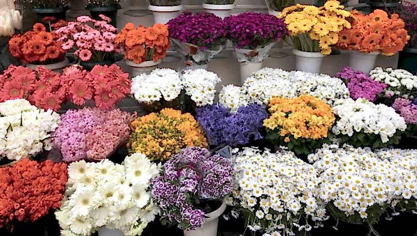 şehitkamil çiçekçi