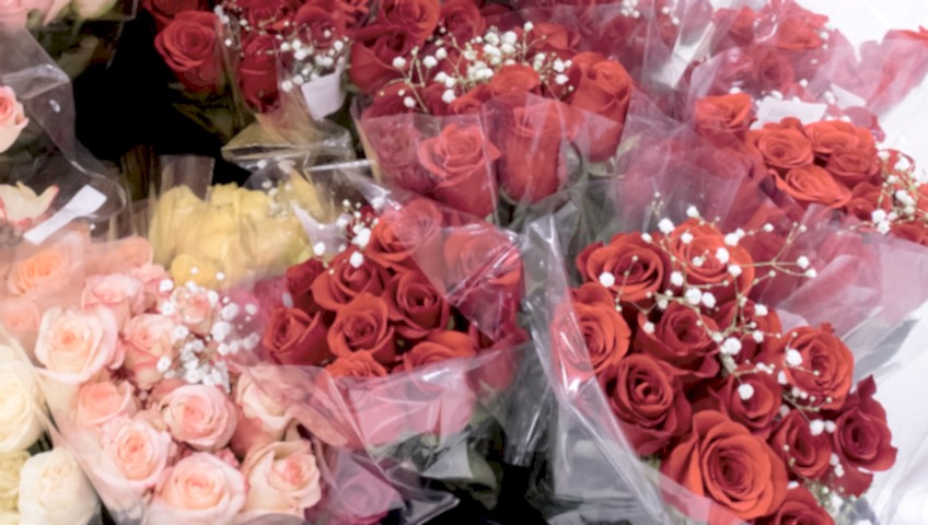 seyrantepe çiçekçi